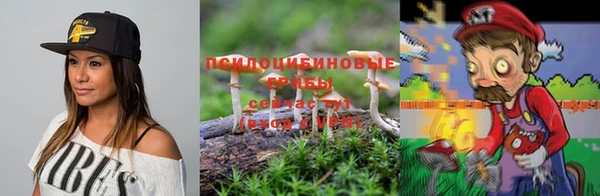 ешки Аркадак