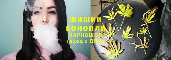 ешки Аркадак