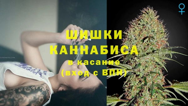 ешки Аркадак
