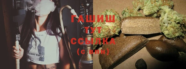 ешки Аркадак